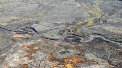 Красноярские власти потребовали от «Норникеля» возместить ущерб природе - russian.rt.com - Красноярский край - Норильск