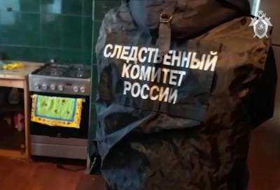 Суд изберет меру пресечения пенсионеру, расчленившему женщину после ссоры в Мурино - online47.ru - Ленинградская обл. - Санкт-Петербург