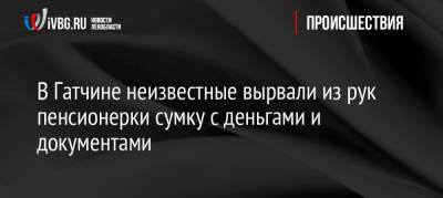 В Гатчине неизвестные вырвали из рук пенсионерки сумку с деньгами и документами - ivbg.ru - район Гатчинский - Ленобласть