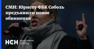 Любовь Соболь - Алексей Навальный - Олег Степанов - Олег Навальный - Мария Алехина - Анастасия Васильева - СМИ: Юристу ФБК Соболь предъявили новое обвинение - nsn.fm
