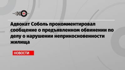 Любовь Соболь - Владимир Воронин - Адвокат Соболь прокомментировал сообщение о предъявленном обвинении по делу о нарушении неприкосновенности жилища - echo.msk.ru - Москва
