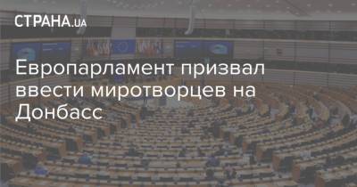 Европарламент призвал ввести миротворцев на Донбасс - strana.ua