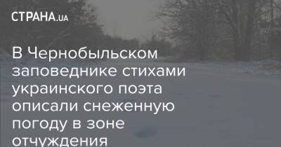 В Чернобыльском заповеднике стихами украинского поэта описали снеженную погоду в зоне отчуждения - strana.ua - місто Киев