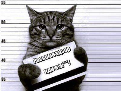 Алексей Навальный - РКН потребовал заблокировать материалы СМИ о флешмобе с фонариками - kasparov.ru - Томск
