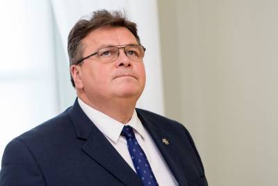 Александр Лукашенко - Линас Линкявичюс - Линкявичюс: Лукашенко трудно поверить, что не Запад, а Беларусь потеряла терпение - naviny.by - Белоруссия - Литва - Минск