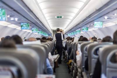 Важна ли фигура в работе стюардессы: ответ работницы авиакомпании - 24tv.ua - Новости