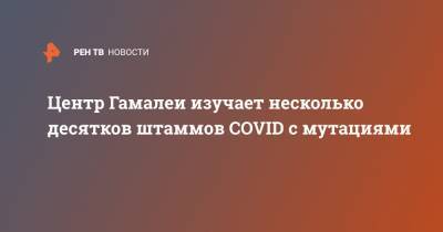 Владимир Гущин - Центр Гамалеи изучает несколько десятков штаммов COVID с мутациями - ren.tv