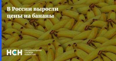 В России выросли цены на бананы - nsn.fm - Эквадор