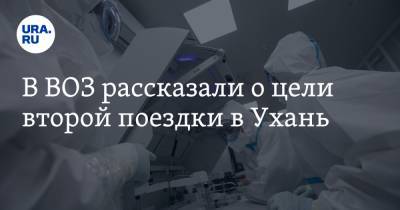 Владимир Дедков - В ВОЗ рассказали о цели второй поездки в Ухань - ura.news - Ухань