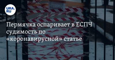 Пермячка оспаривает в ЕСПЧ судимость по «коронавирусной» статье - ura.news - Пермь