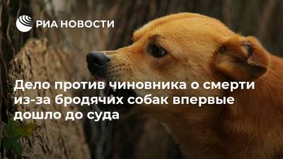 Дело против чиновника о смерти из-за бродячих собак впервые дошло до суда - ria.ru - Россия - Красноярский край - Красноярск - респ. Хакасия