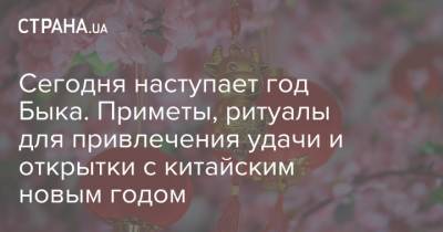 Сегодня наступает год Быка. Приметы, ритуалы для привлечения удачи и открытки с китайским новым годом - strana.ua