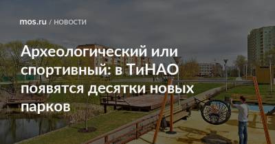 Археологический или спортивный: в ТиНАО появятся десятки новых парков - mos.ru - Москва - Новомосковск - Благоустройство