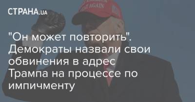 Дональд Трамп - "Он может повторить". Демократы назвали свои обвинения в адрес Трампа на процессе по импичменту - strana.ua