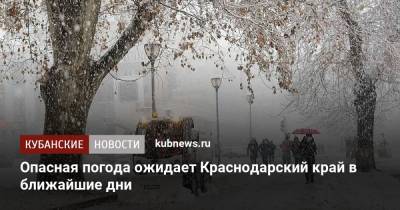 Роман Вильфанд - Опасная погода ожидает Краснодарский край в ближайшие дни - kubnews.ru - Крым - Краснодарский край - округ Южный