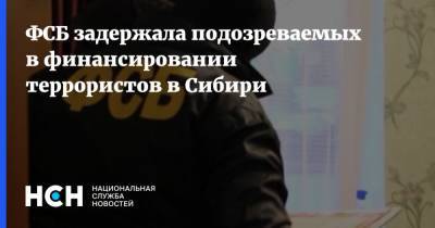 ФСБ задержала подозреваемых в финансировании террористов в Сибири - nsn.fm - Сирия - Узбекистан - Новосибирская обл. - Томская обл. - Сибирь