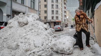 Сильный снегопад и мощный ветер обрушились на Москву - 5-tv.ru - Москва - Крым - Краснодарский край