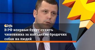 ВРФ впервые будут судить чиновника занападение бродячих собак налюдей - ridus.ru - Красноярск