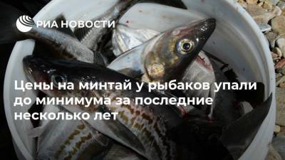Цены на минтай у рыбаков упали до минимума за последние несколько лет - ria.ru - Москва - Китай - Дальний Восток