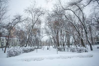 Андрей Потапов - В Кургане создана структура, которая будет управлять городскими парками и скверами - znak.com