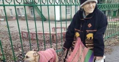 Пес-помощник: в Запорожье собака носит сумки своей старенькой хозяйки - tsn.ua - Турция - Запорожье