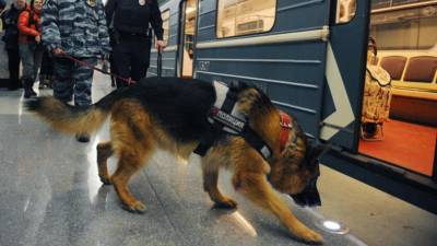 В Москве снова "заминировали" все станции метро, школы и детские сады - newizv.ru - Москва