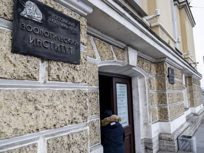 Плотник из Зоологического института РАН полгода продавал черепа животных десятикласснику - rosbalt.ru