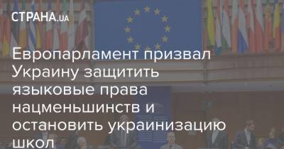 Европарламент призвал Украину защитить языковые права нацменьшинств и остановить украинизацию школ - strana.ua