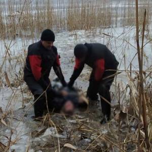 В Запорожском районе мужчину нашли мертвым на дне реки. Фотофакт - reporter-ua.com - Запорожская обл. - район Запорожский