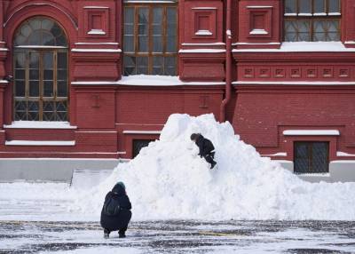 Александр Синенков - Петр Бирюков - Сугробы в Москве выросли до 40 см за ночь из-за снегопада - m24.ru - Москва