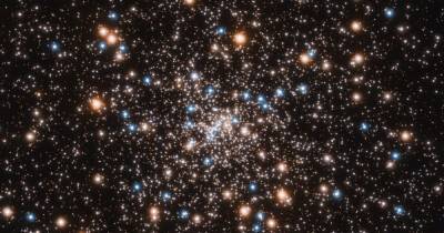 Астрономы нашли целый рой черных дыр в звездном скоплении недалеко от Земли - focus.ua