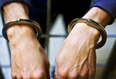 Молодого петербуржца подозревают в убийстве 44-летнего отчима на Маршала Жукова - online47.ru - Ленинградская обл. - Санкт-Петербург