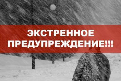 Экстренное предупреждение от МЧС: метель в Смоленской области продолжится - rabochy-put.ru - Смоленск - Смоленская обл.