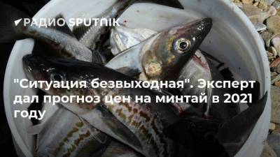 Александр Фомин - "Ситуация безвыходная". Эксперт дал прогноз цен на минтай в 2021 году - smartmoney.one - Россия - Китай