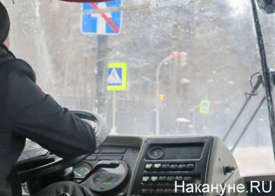Максим Куляшов - Мэрия Челябинска рекомендовала перевозчикам не повышать стоимость проезда в маршрутках - nakanune.ru - Челябинск