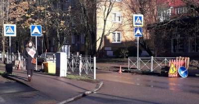 Зелёный эксперимент: в Калининграде на одной из улиц железные ограждения заменят живой изгородью - klops.ru - Калининград