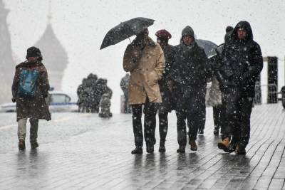 Москва онлайн покажет центр города во время снежного апокалипсиса - m24.ru - Москва