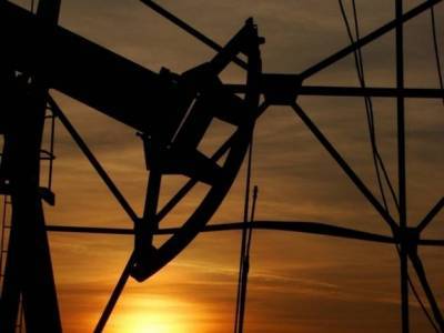 Котировки Brent и WTI не перестают снижаться - rosbalt.ru