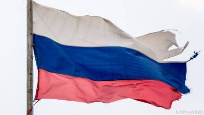 Экономический суверенитет России продан: транснациональные корпорации захватили более 80% рынка - newdaynews.ru