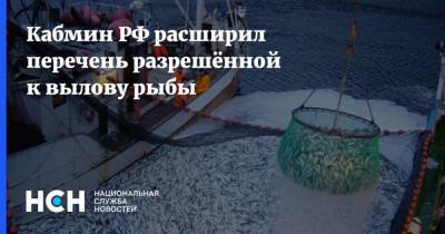 Михаил Мишустин - Кабмин РФ расширил перечень разрешённой к вылову рыбы - nsn.fm