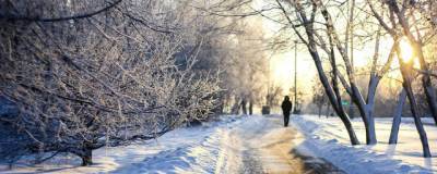 Юлия Иванова - Москвичка оставила замерзать троих детей ночью в лесу - runews24.ru - Москва