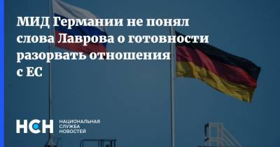 Сергей Лавров - Андреа Зассе - МИД Германии не понял слова Лаврова о готовности разорвать отношения с ЕС - nsn.fm - Москва - Германия - Брюссель
