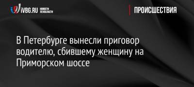 В Петербурге вынесли приговор водителю, сбившему женщину на Приморском шоссе - ivbg.ru - Санкт-Петербург - р-н Приморский - Петербург