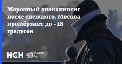 Марина Макарова - Мороз - Морозный апокалиписис после снежного. Москва промёрзнет до -28 градусов - nsn.fm - Москва