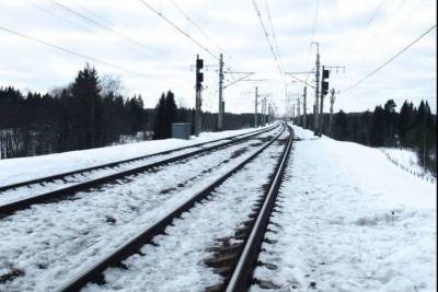 Восстановлено движение поездов между Москвой и Тверью - tver.mk.ru - Москва - Санкт-Петербург - Тверь