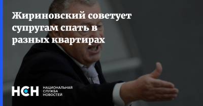Владимир Жириновский - Жириновский советует супругам спать в разных квартирах - nsn.fm