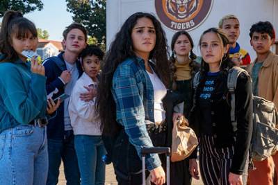 Актеры покинули сериал «Поколение» из-за использования трупов кошек на съемках - lenta.ru