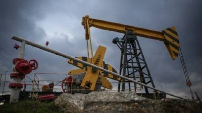Рустам Минниханов - На 32%. Налоговые поступления от малых нефтяных компаний Татарстана сократились - vesti.ru - респ. Татарстан