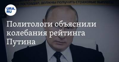 Владимир Путин - Виктор Потуремский - Политологи объяснили колебания рейтинга Путина - ura.news