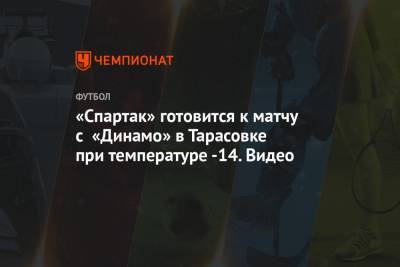 Георгий Джикия - Доменико Тедеско - «Спартак» готовится к матчу с «Динамо» в Тарасовке при температуре -14. Видео - championat.com - Москва - Рига - Эмираты